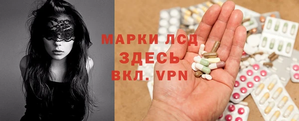 гидра Аркадак