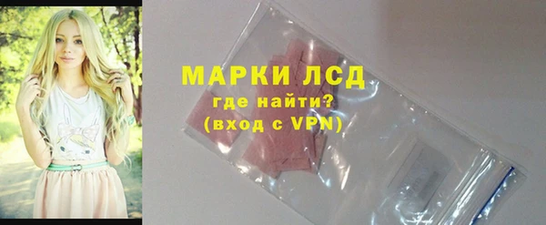 гидра Аркадак