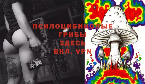 бошки Армянск