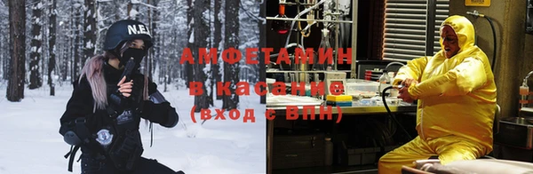 гидра Аркадак