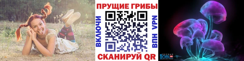 Псилоцибиновые грибы Psilocybe  Белинский 